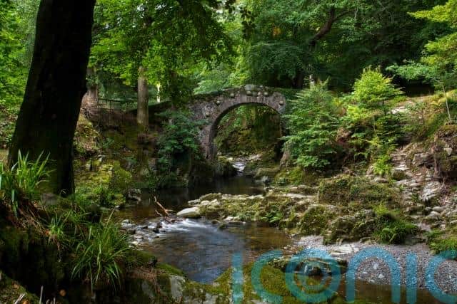 Tollymore Forest