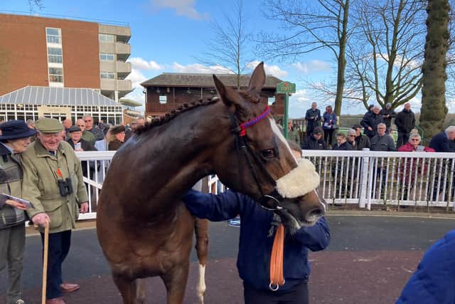 Equus Dreamer (6-1) galloped his rivals into submission in the Tim Molony Handicap Chase, making much of the running under David Bass and saving just enough to see off 13-8 favourite Your Own Story by half a length.