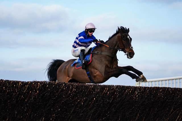 The bay has further form at Ascot and his trainer expects the quick conditions to suit, saying: “He’s just been waiting for decent ground and a race like this in the spring, he just ran a bit free that day (last time) and Harry (Cobden) held on to him to save him for the last uphill from turning in the straight. He must have a nice chance.”