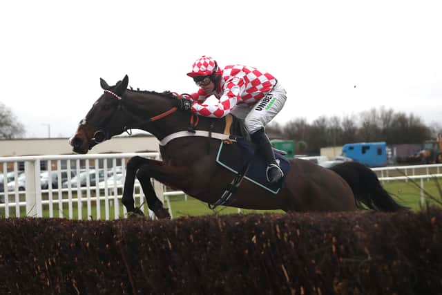 “The way he jumped there suggests this return to a right-handed track will suit him, and he had an earlier win on lively ground at Leicester.