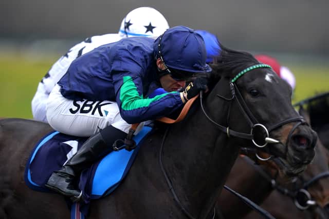 Sayifyouwill (8-1) has shown plenty of verve on the all-weather and notched a sixth success on a artificial surface in the Spreadex Sports Best Premier League Odds Handicap.