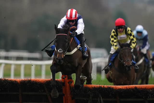 Part-owned by former Premier League manager Harry Redknapp, the seven-year-old was beaten a short head on his seasonal bow at Exeter before placing third behind Complete Unknown at Ffos Las last month.