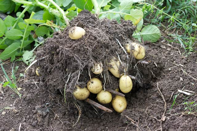 Harvesting