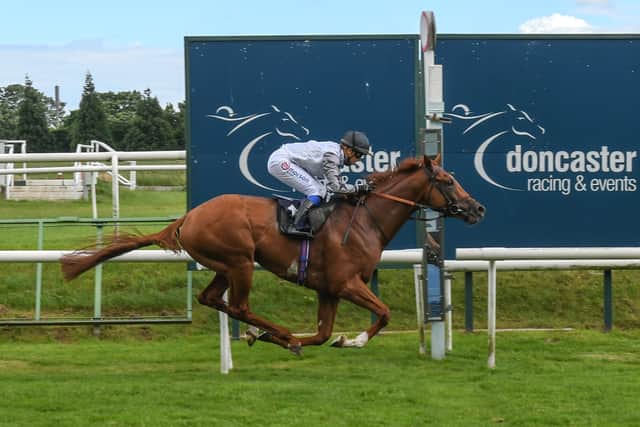 “Tyson Fury has come out of the Churchill Stakes well. It was obviously his first start for a good while and he was a bit unlucky in the run,” Spencer said.
