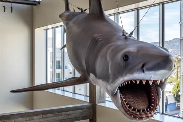 He added: “I truly and to this day regret the decimation of the shark population because of the book and the film. I really, truly regret that.”