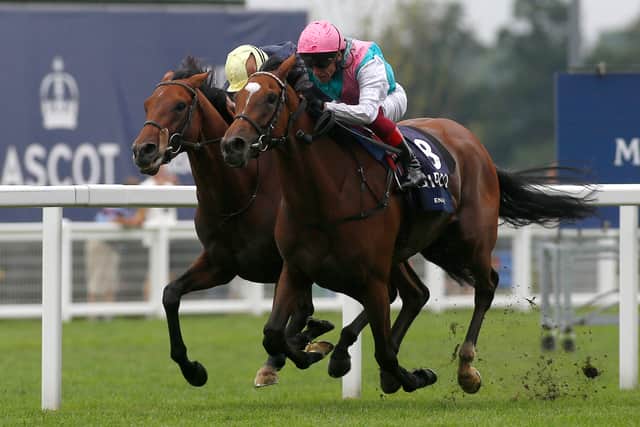 “That battle with Crystal Ocean, with James Doyle and Frankie (2019) both hardly using the stick at all, with both horses giving their best, it was really spectacular.”