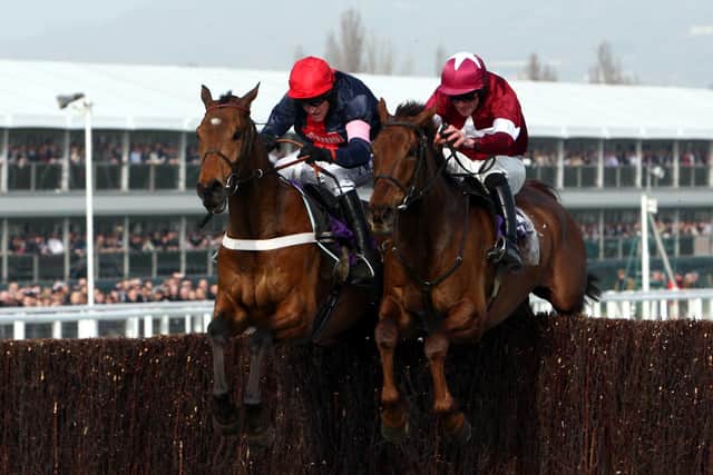 “His CV speaks for itself, two Grand Nationals, a Gold Cup, multiple Cheltenham winners.