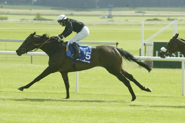 The Breeders’ Cup Filly And Mare Turf, held that season at Lone Star Park, followed, and from a field of 12 the filly prevailed when crossing the line a length and a half ahead of her nearest rival.