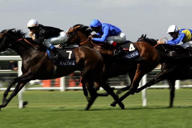 The chestnut emulated his dam in winning a brace of Classics when taking the 2014 renewals of the Derby both at Epsom and the Curragh, with a Juddmonte International success following later in the same season.