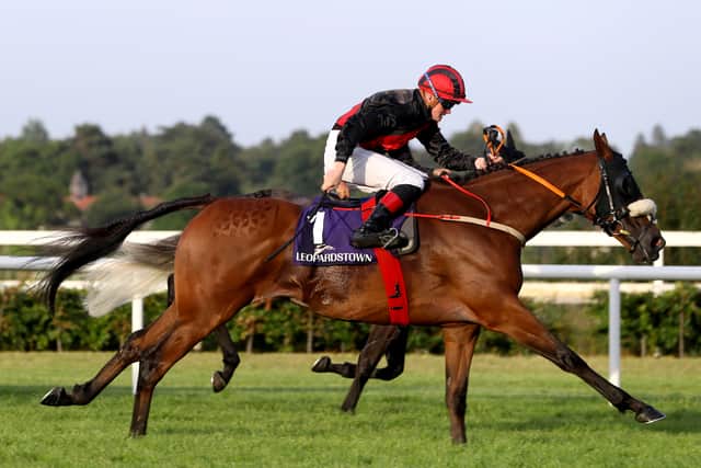 The 12-year-old, who has amassed over £330,000, winning 20 of his 64 career starts, remains a stable stalwart and retains all his enthusiasm, according to Fahey.