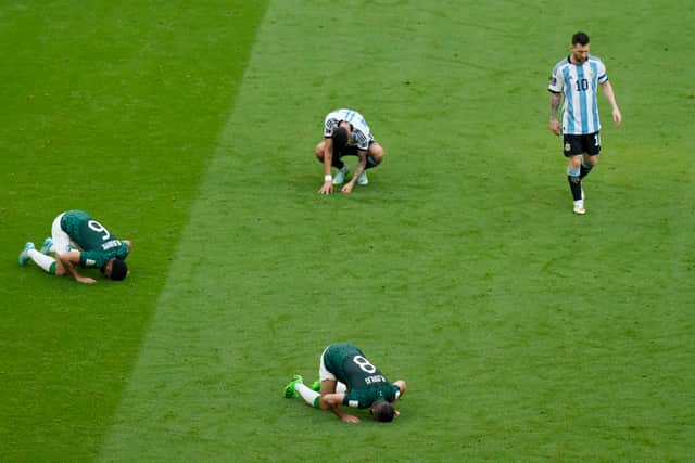 Picture of the day