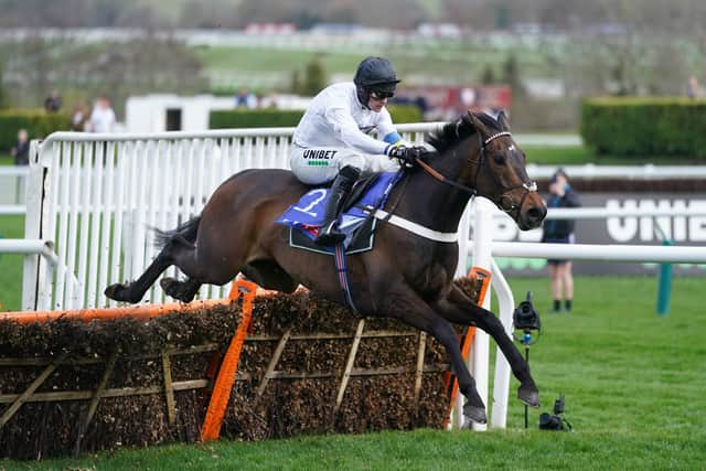 The Seven Barrows handler on Tuesday entered both Constitution Hill and Epatante for the Fighting Fifth at Newcastle on November 26.