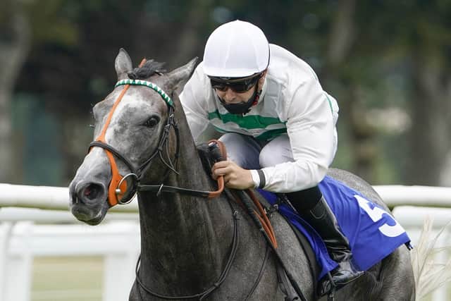 The hike in his covering fee leaves him significantly more expensive than Juddmonte’s Frankel, whose £200,000 price has risen to £275,000 for 2023.