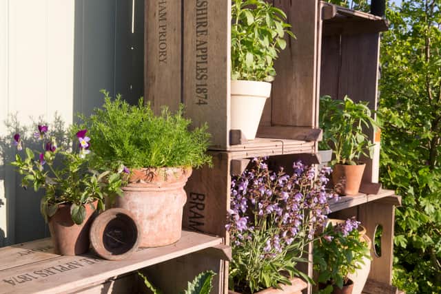 Re-use plant pots