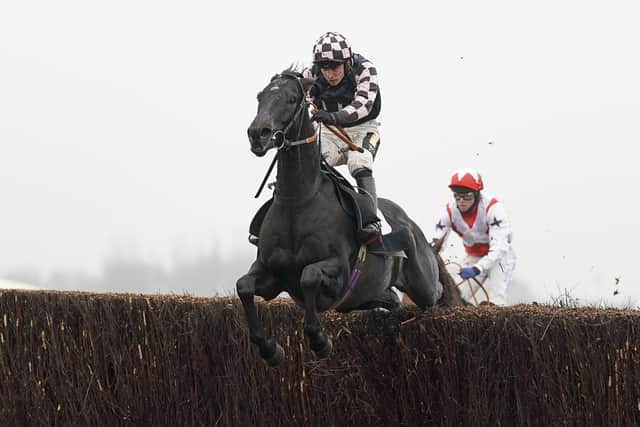 Frodon heads no fewer than 18 entries for the 61st Badger Beer Handicap Chase but he also holds an alternative engagement at Down Royal this weekend.