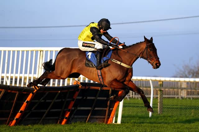 Rivals could include the smart Knappers Hill, trained by Paul Nicholls, Grade One-winning juvenile hurdler Knight Salute (Milton Harris) and Welsh Champion Hurdle runner-up Milkwood (Neil Mulholland).