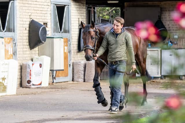 A homebred son of Sea The Stars, Baaeed arrived at Nunnery Stud in Norfolk and was greeted by Shadwell’s bloodstock manager Stephen Collins.