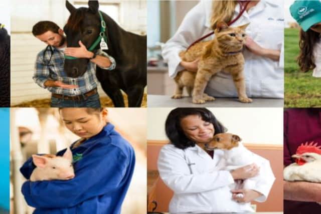 Building on more than 70 years of experience and our presence in over 100 countries, we deliver quality medicines, vaccines, and diagnostic products, complemented by genetic tests, biodevices and a range of services.