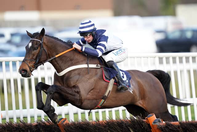“We will see how he fares over hurdles first. He has always been a brilliant jumper and we’re looking forward to getting him going again.”