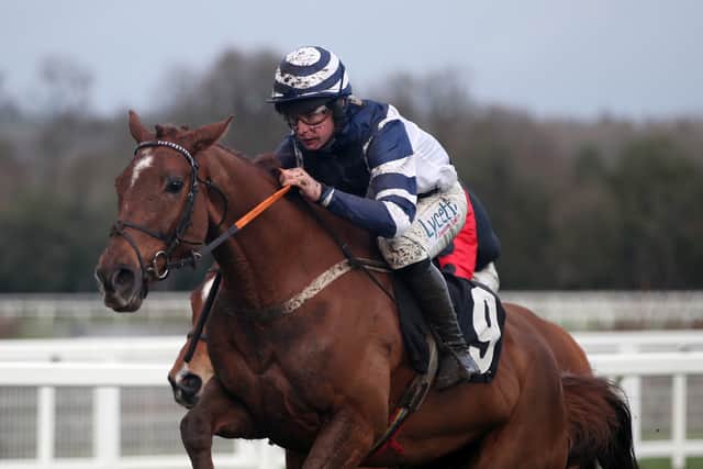 Good Risk At All, who won a valuable Ascot handicap hurdle in February and who has only failed to be out of the first two in eight starts for the Lisvane, South Glamorgan trainer – when sixth in the Grade One Mersey Novices’ Hurdle on his final start last season – is set to make his return at Carlisle on Sunday.