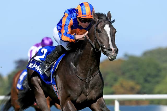 Auguste Rodin, who has not put a foot wrong since runner-up to Crypto Force on debut, leads Aidan O’Brien’s charge for a record 11th win in the race.