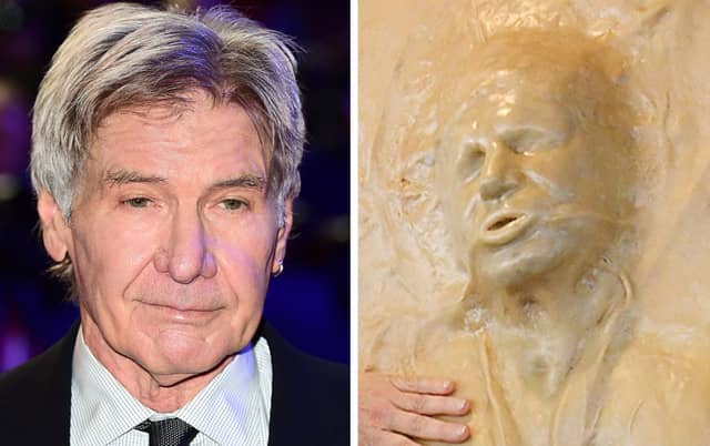 “Pan Solo” - A 6ft bread sculpture of the Star Wars hero played by Harrison Ford, as he appeared after being frozen in carbonite in The Empire Strikes Back.