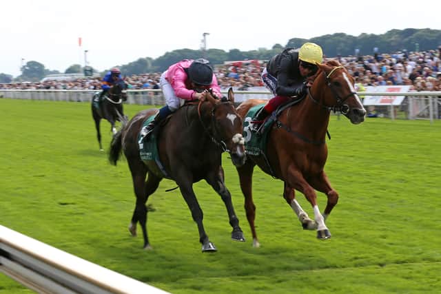 Lonsdale Cup, York, 2021