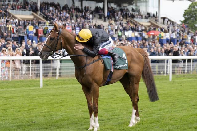 “He will go to the National Stud and we’re very much looking forward to that.”