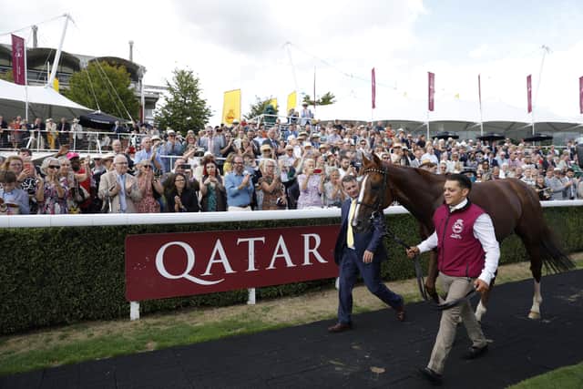 “It was an honour for me to ride him and I will miss him a lot, he’s been a fabulous horse to have, one of a lifetime. I wish him a happy retirement and hopefully he’ll become a great stallion in the future.”