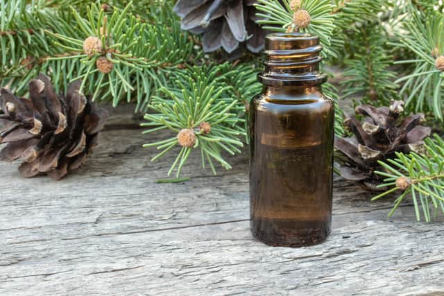 She says she loves to use fresh, evergreen scents such as the uplifting fragrance of pine, elemi, and cypress, alongside sappy notes of cedarwood, guaiac wood and fir.