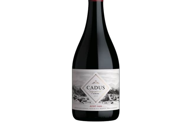 6. Cadus Signature Series Pinot Noir 2019, Mendoza, Argentina, £18.95, Vivino