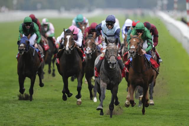 “I’m not sure whether he was at his best (in France) or whether he showed that day he was a real staying horse.”