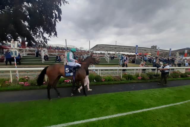 “Kingston Hill didn’t race past three, but I would hope Eldar Eldarov will be better as a four-year-old and even better as a five-year-old.”