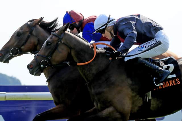 Luxembourg was Aidan O’Brien’s big three-year-old hope of the season having gone unbeaten at two. Having run such a promising race when third in the 2000 Guineas, he unfortunately picked up an injury which kept him off the track until a winning return last month.