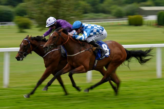 “We’ll see if any rain materialises or if the field cuts up. He’s unbeaten, showed plenty of speed at Ripon and while The Platinum Queen sets the standard, he deserves to take his chance.”