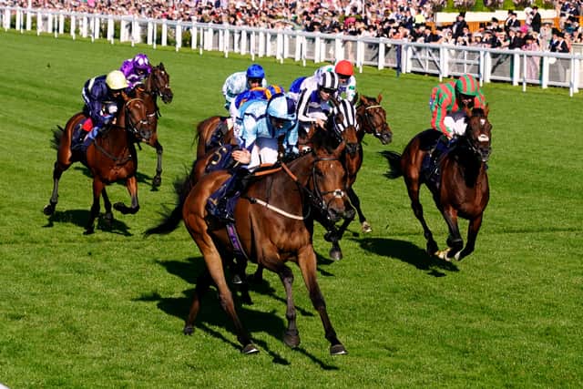 “The only worry is that he’s had a long season. He’s been on the go all year and when you get to this stage of the season it can be a bit of a concern, but if he’s still in form he might go to Longchamp for the Cadran.”