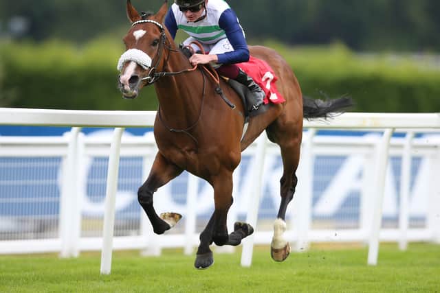Trueshan is set to go off an odds-on favourite under Hollie Doyle in the latest leg of the Qipco British Champions Series.