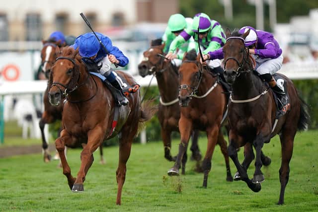 “She doesn’t mind a little bit of ease in the ground and something like the Bosra Sham (Fillies’ Stakes, at Newmarket on October 28) would be on my mind.”