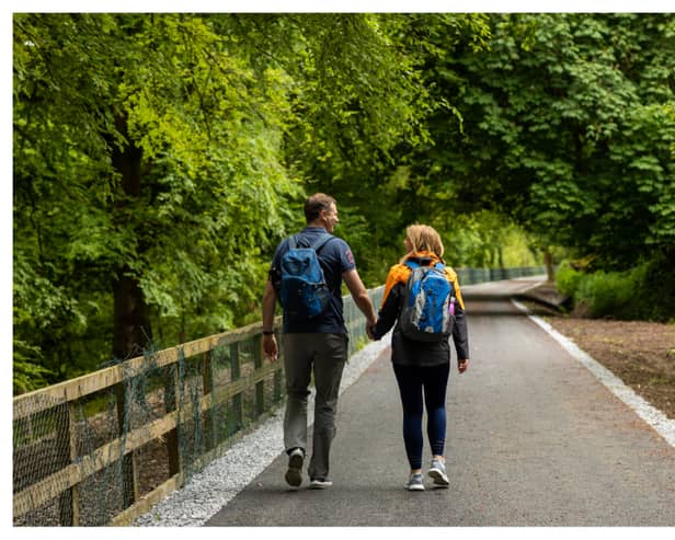 A perfect summer's day on Limerick Greenway