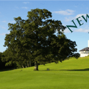 JOB ALERT: Could you be New Forest Estate & Golf Club's new greenkeeper?