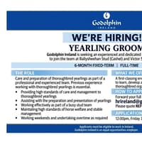 Godolphin Ireland is now hiring an experienced Yearling Groom