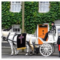 Comerford Lynch Funeral Directors – A Tradition of Compassion and Care