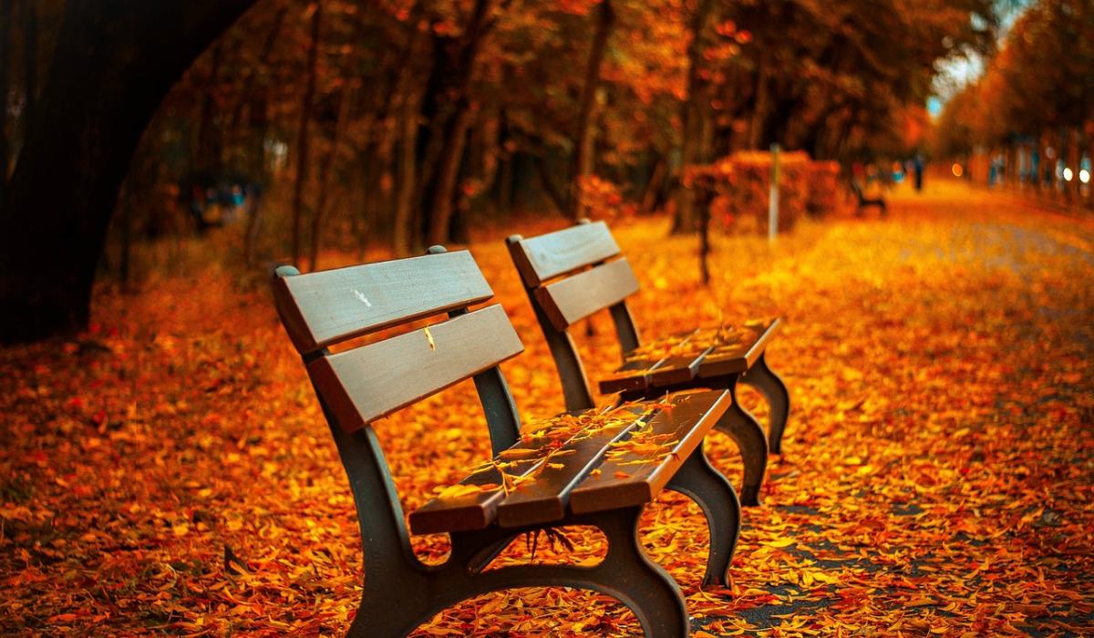 Why October can feel tough and how to protect your mental health this Autumn