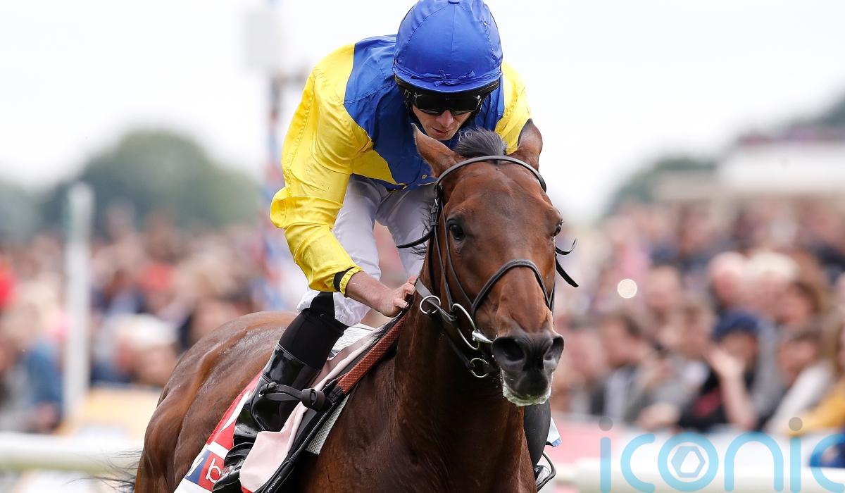 Marmelo thriving in life after racing