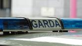 Cork: Witness appeal after woman allegedly assaulted on forest trail