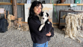 Wednesday star Jenna Ortega spotted in 'random' location in Ireland