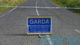 Driver killed in Co Limerick crash