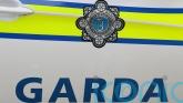 Two teenagers arrested by gardai investigating serious assault in Dublin