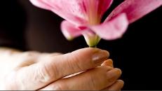 Test Submission 23 Oct 2021 - 15