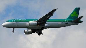 Minister urges Aer Lingus to avoid strikes and travel chaos over the summer
